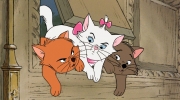 （话题）迪士尼经典动画《猫儿历险记》即将真人化