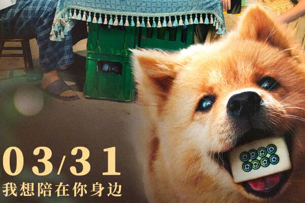 （热门）《忠犬八公》新预告 今日开始预售：3月31日全国上映